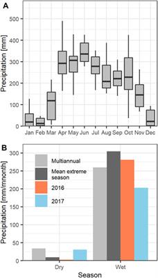 Carbon Exchange and Accumulation in an Orinoco High Plains Native Savanna Ecosystem as Measured by Eddy Covariance